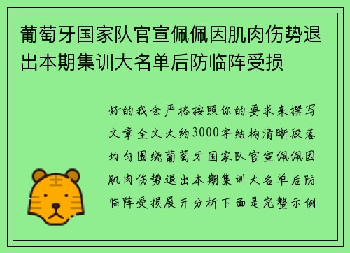 葡萄牙国家队官宣佩佩因肌肉伤势退出本期集训大名单后防临阵受损